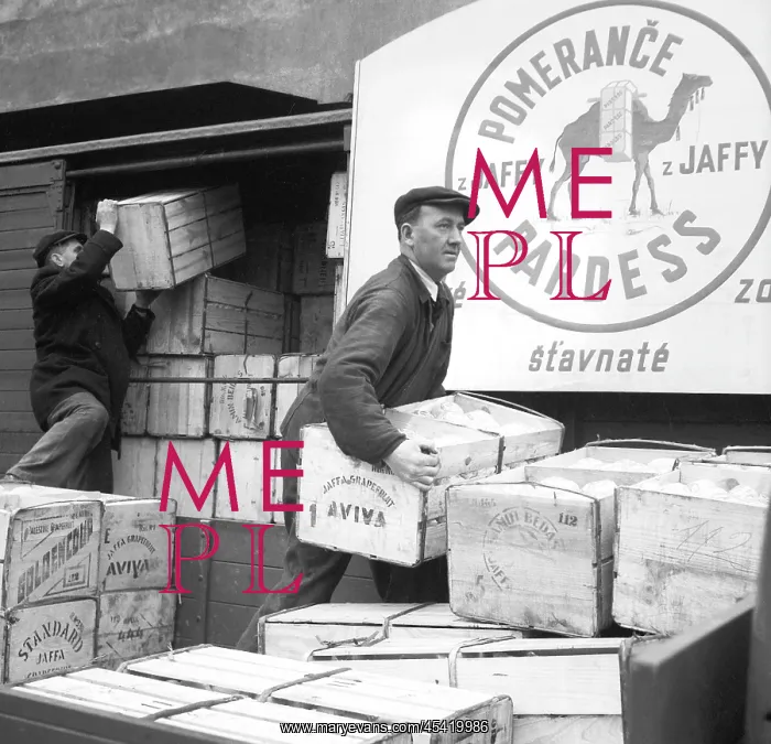  : Prague - fruit delivery