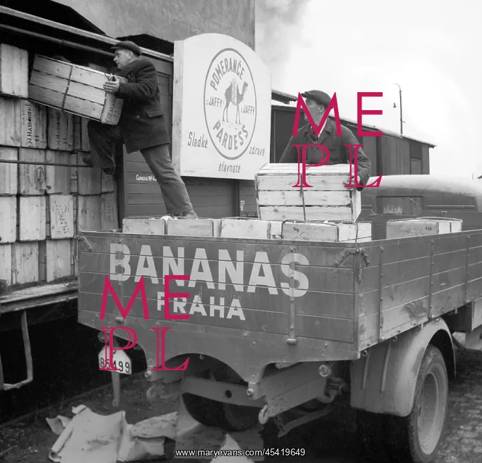  : Prague - fruit distribution