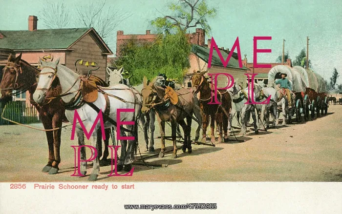  : Prairie Schooner ready to start