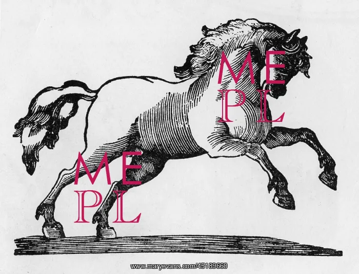  : Prancing horse