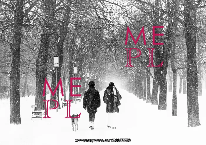 : Prater Hauptallee in snow 1979 : Prater Hauptallee in snow 1979