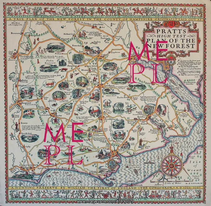 : Pratt's High Test Plan of the New Forest : Pratt's High Test Plan of the New Forest
