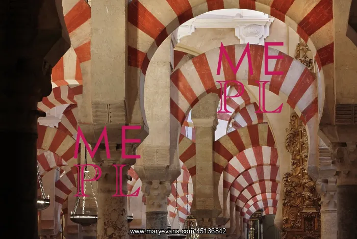 : Prayer hall, Cathedral-Great Mosque, Cordoba : Prayer hall, Cathedral-Great Mosque, Cordoba