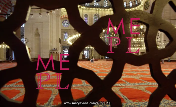 : Prayers seen through a screen at the Suleymaniye : Prayers seen through a screen at the Suleymaniye
