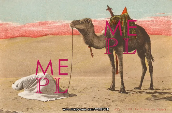 : PRAYING IN THE DESERT : PRAYING IN THE DESERT
