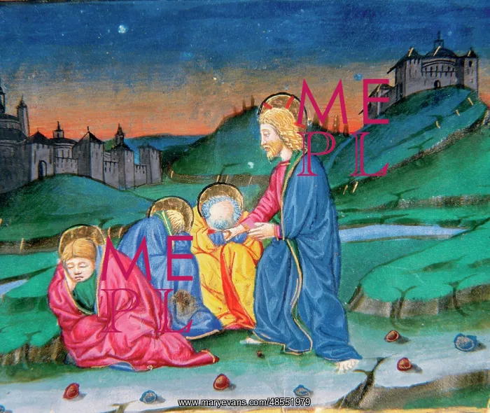 : After praying in the Mount of Olives, Jesus comes back with : After praying in the Mount of Olives, Jesus comes back with