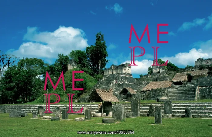 : Pre-Columbian Art. Maya. Tikal. Stelae and the North acropol : Pre-Columbian Art. Maya. Tikal. Stelae and the North acropol