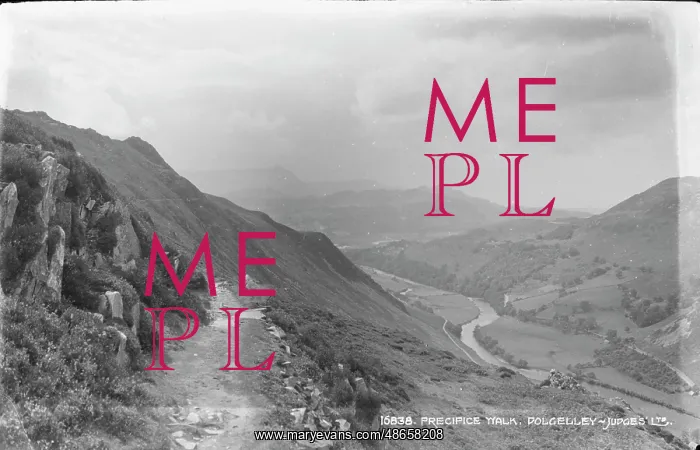 : Precipice Walk, Dolgelley : Precipice Walk, Dolgelley