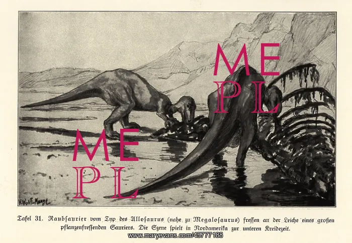 : Predatory Megalosaurus feeding on a dinosaur corpse : Predatory Megalosaurus feeding on a dinosaur corpse