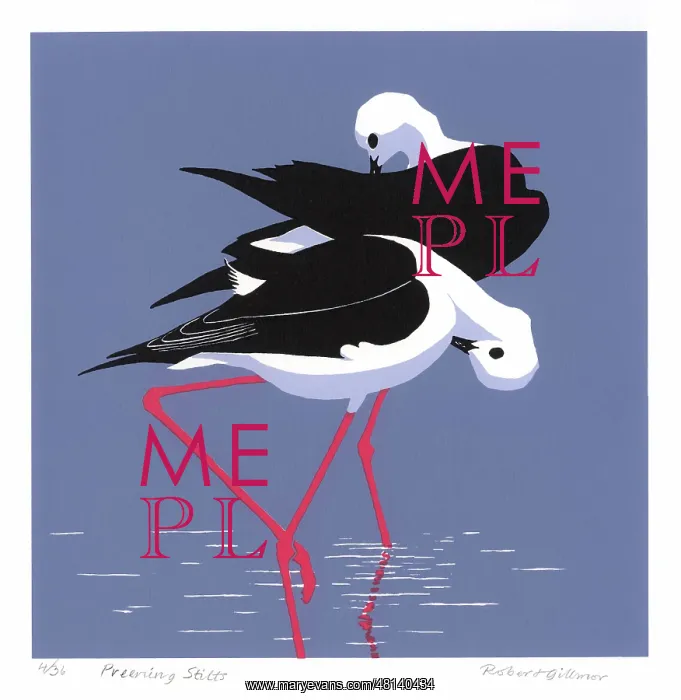 : Preening Stilts : Preening Stilts