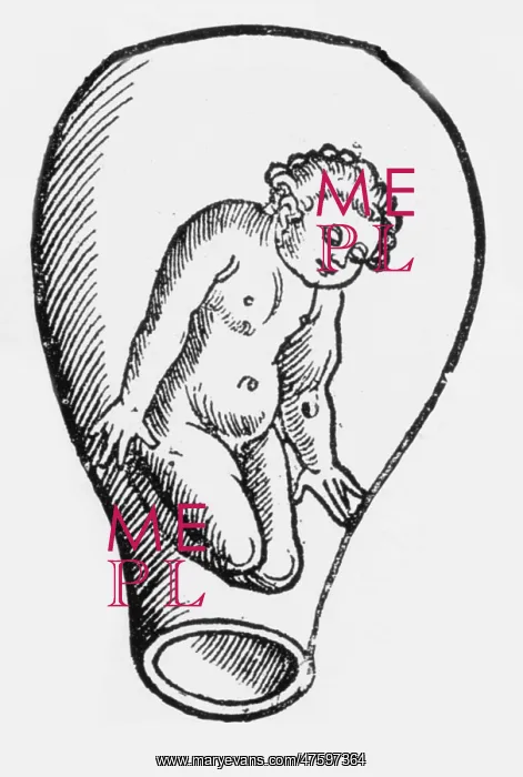 : Preformationism, 18th Century : Preformationism, 18th Century