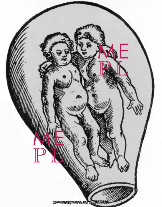 : Preformationism, 18th Century : Preformationism, 18th Century