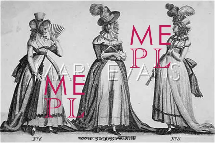 : THE PREGNANT LOOK 1793 : THE PREGNANT LOOK 1793