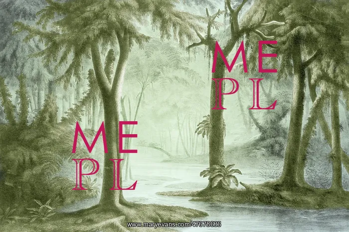 : Prehistoric, Carboniferous Landscape : Prehistoric, Carboniferous Landscape