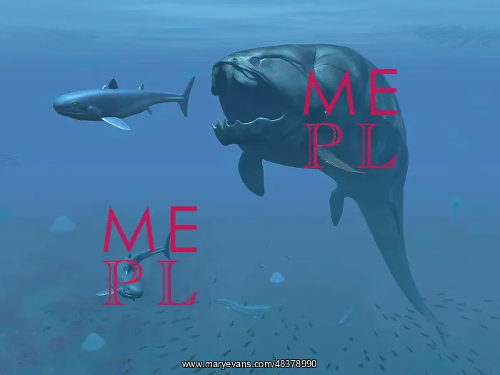 : A prehistoric Dunkleosteus fish prepares to eat a primitive : A prehistoric Dunkleosteus fish prepares to eat a primitive