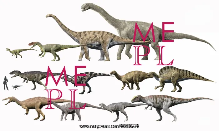 : Prehistoric era dinosaurs of Niger drawn to scale : Prehistoric era dinosaurs of Niger drawn to scale