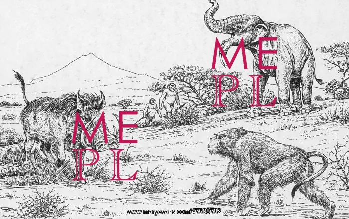 : Prehistoric Extinct Animals : Prehistoric Extinct Animals