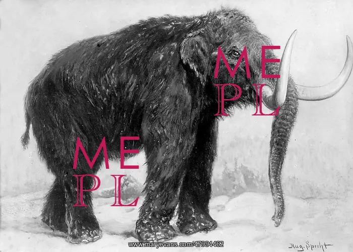  : Prehistoric glacial mammoth
