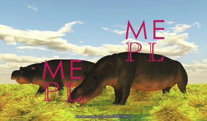 : Prehistoric Moeritherium mammals eating grass : Prehistoric Moeritherium mammals eating grass