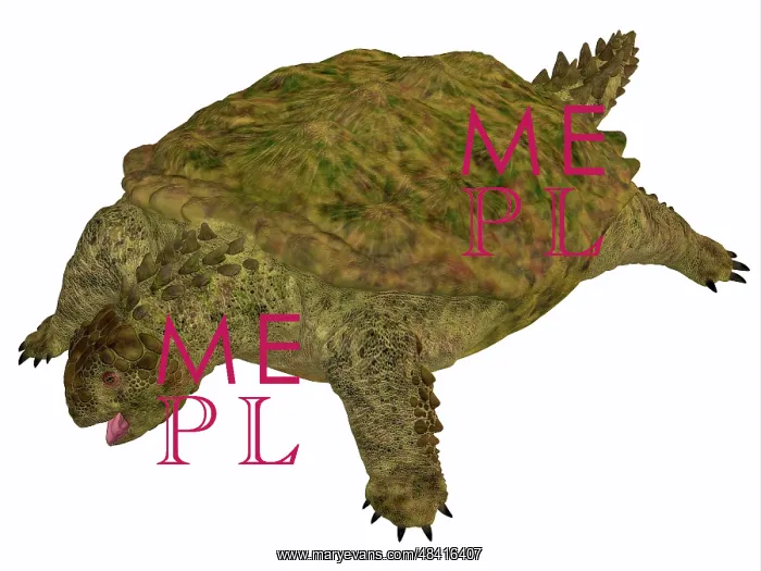 : A prehistoric Proganochelys turtle species from the ? : A prehistoric Proganochelys turtle species from the ?