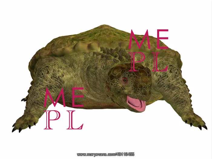 : A prehistoric Proganochelys turtle species from the ? : A prehistoric Proganochelys turtle species from the ?