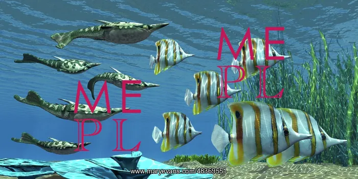 : Prehistoric Pteraspis jawless fish swimming with a group of : Prehistoric Pteraspis jawless fish swimming with a group of