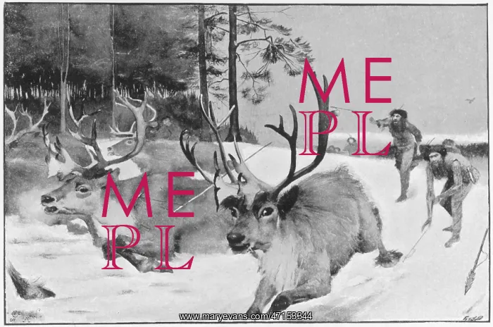 : Prehistoric reindeer hunt : Prehistoric reindeer hunt