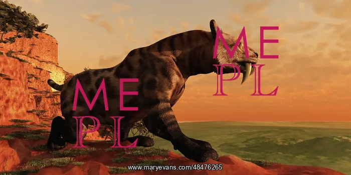 : A prehistoric Smilodon Cat is on the prowl for his next prey : A prehistoric Smilodon Cat is on the prowl for his next prey