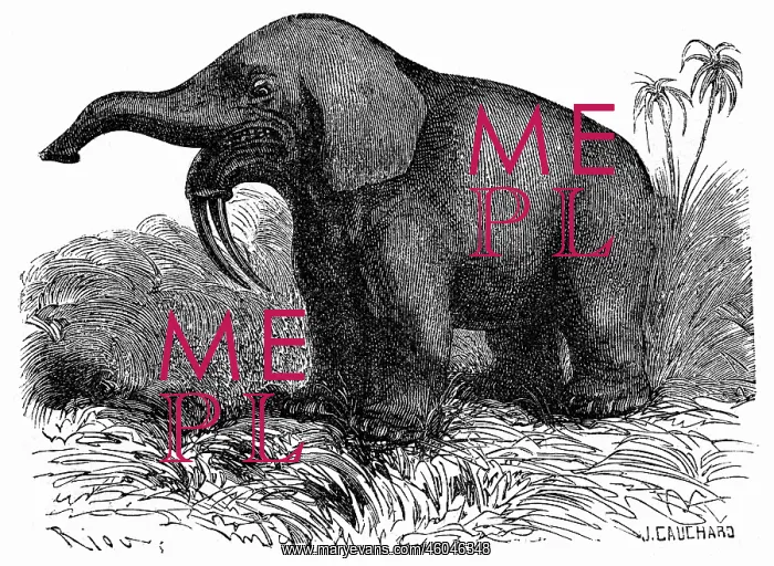 : prehistory, animals, Deinotherium, Illustration : prehistory, animals, Deinotherium, Illustration