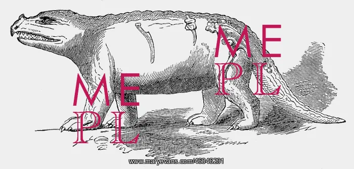 : prehistory, animals, dinosaurs, Megalosaurus : prehistory, animals, dinosaurs, Megalosaurus