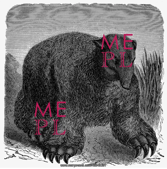 : prehistory, animals, ground sloth, illustration : prehistory, animals, ground sloth, illustration