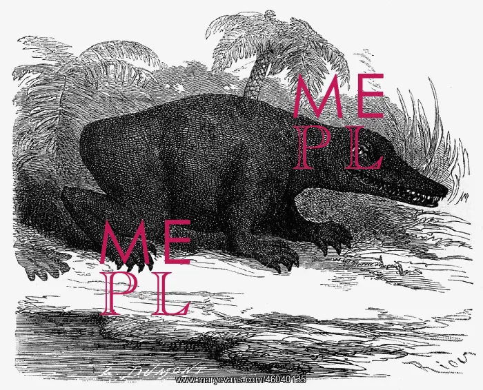 : prehistory, animals, Labyrinthodontia, Mesozoic : prehistory, animals, Labyrinthodontia, Mesozoic