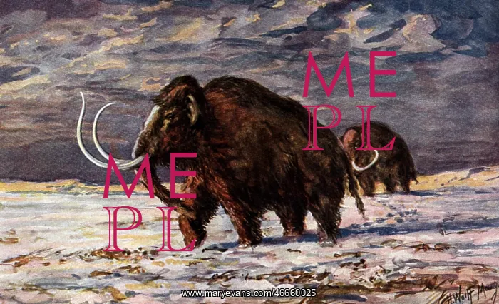 : prehistory, animals, mammoth in the snow : prehistory, animals, mammoth in the snow