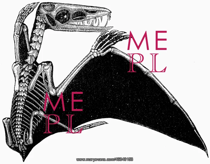 : prehistory, animals, saurians, Pterodactylus : prehistory, animals, saurians, Pterodactylus