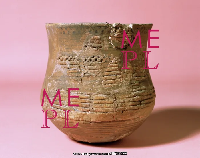 : Prehistory. Bronze Age. Vessel. Bell Beaker. From Aiguafreda : Prehistory. Bronze Age. Vessel. Bell Beaker. From Aiguafreda