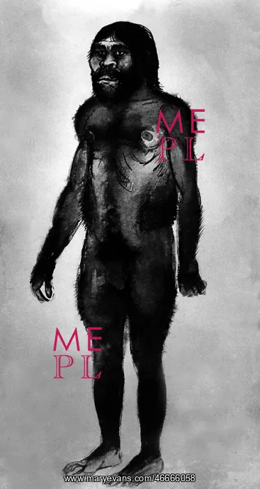 : prehistory, illustration of a Homo habilis : prehistory, illustration of a Homo habilis