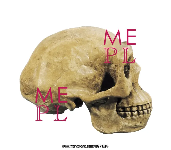 : Prehistory. Lower Paleolithic. Sinathropus skull : Prehistory. Lower Paleolithic. Sinathropus skull