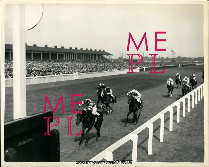 : Premonition winning St Leger, Doncaster : Premonition winning St Leger, Doncaster