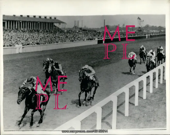 : Premonition winning St Leger, Doncaster : Premonition winning St Leger, Doncaster