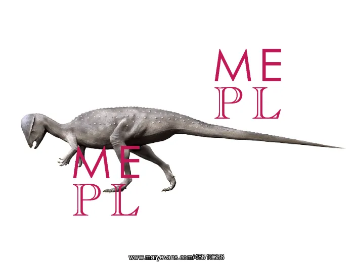 : Prenocephale dinosaur : Prenocephale dinosaur