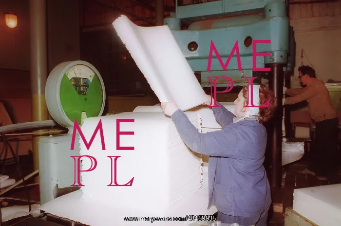 : Preparation of bleached pulp for export, 1995 : Preparation of bleached pulp for export, 1995
