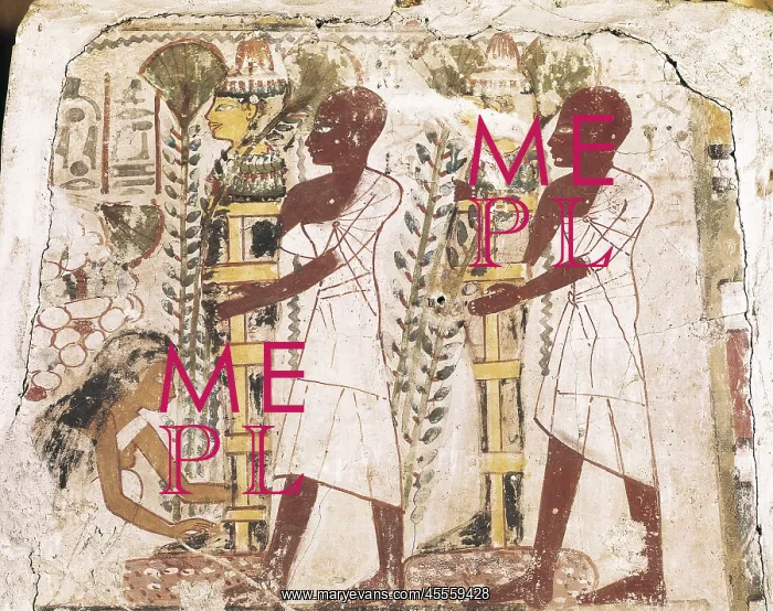 : Preparation of the mummies for the purification : Preparation of the mummies for the purification