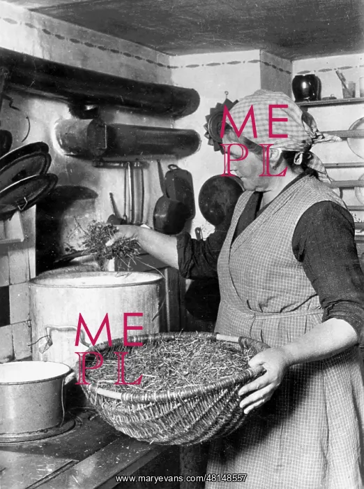  : Preparation of a sud, 1940