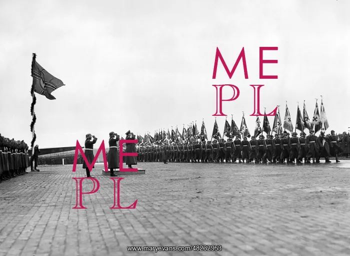 : Presentation of 45 flags by Colonel General Goering, 1937 : Presentation of 45 flags by Colonel General Goering, 1937