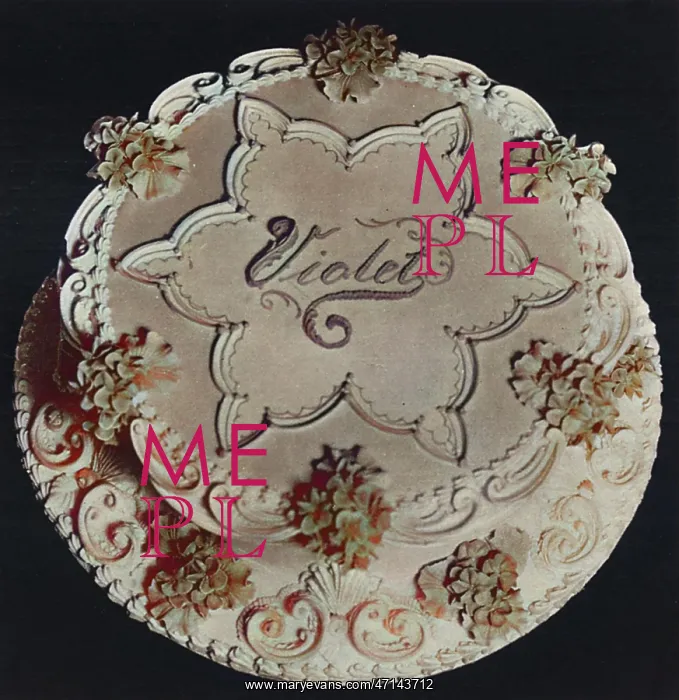  : Presentation Cake. Violet