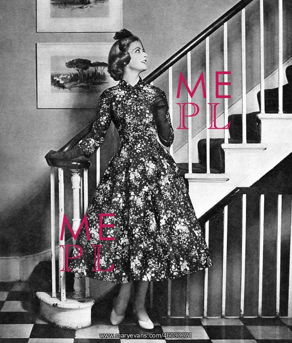 : A Presentation Party Dress, 1957 : A Presentation Party Dress, 1957