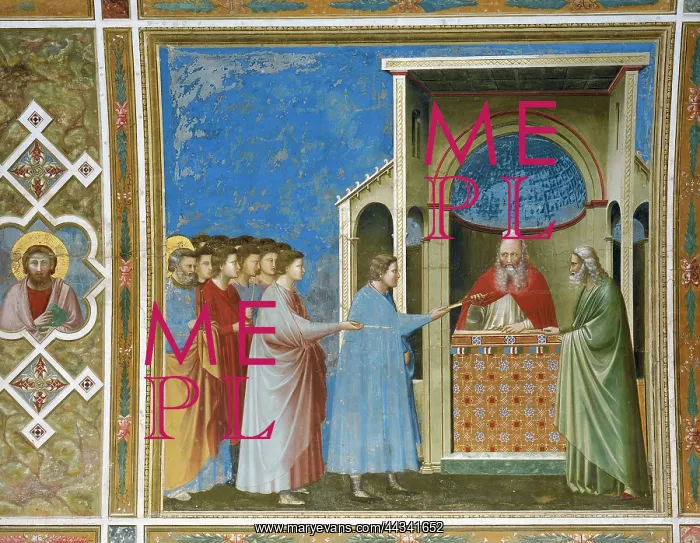 : The Presentation of the Rods to Simeon, by Giotto : The Presentation of the Rods to Simeon, by Giotto