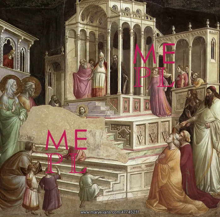  : Presentation of the Virgin