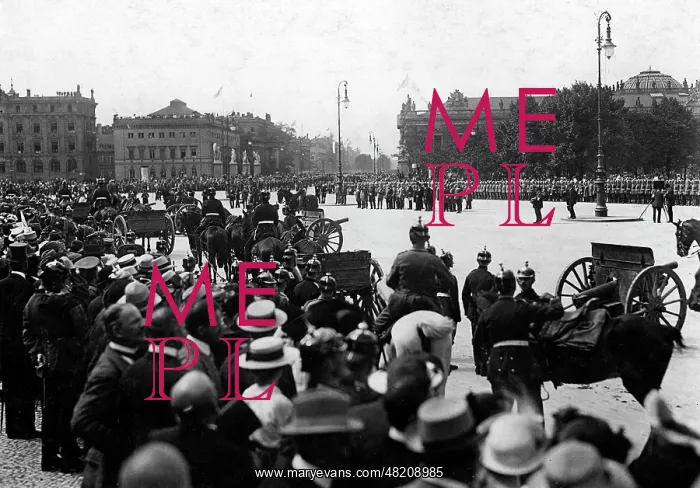 : Presentation of war trophies, 1914 : Presentation of war trophies, 1914