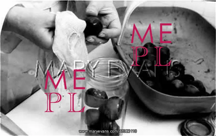  : PRESERVING PLUMS